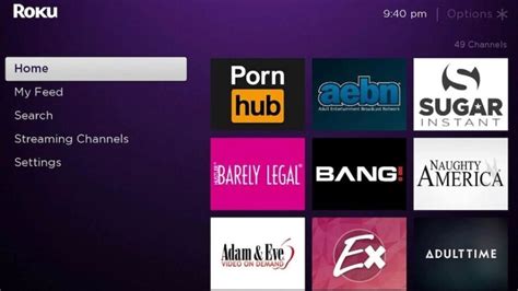 porn roku|How to Find (and Add) Porn Channels to Your Roku